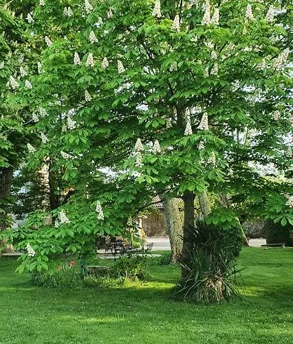 Le Domaine Des Marcoujans Saint-Elix-le-Chateau