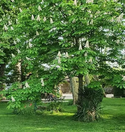 Le Domaine Des Marcoujans Saint-Elix-le-Chateau