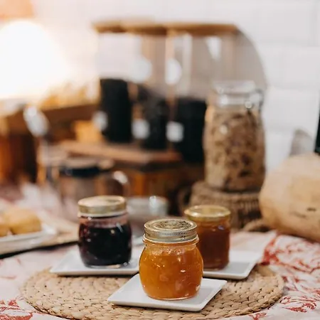 Le Domaine Des Marcoujans Saint-Elix-le-Chateau